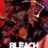 Bleach : 1.Sezon 252.Bölüm izle