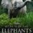Secrets of the Elephants : 1.Sezon 2.Bölüm izle