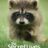 The Secret Lives of Animals : 1.Sezon 2.Bölüm izle