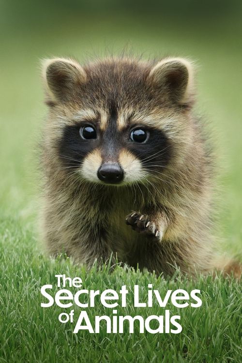 The Secret Lives of Animals : 1.Sezon 2.Bölüm