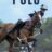 Polo : 1.Sezon 3.Bölüm izle