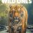 The Wild Ones : 1.Sezon 1.Bölüm izle