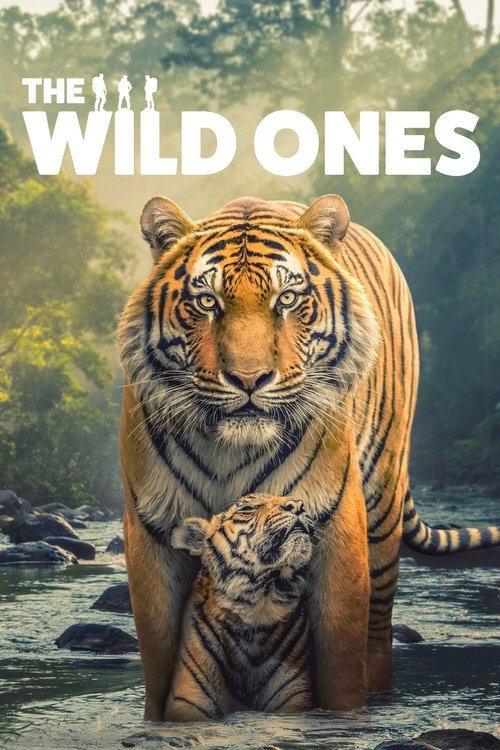 The Wild Ones : 1.Sezon 3.Bölüm